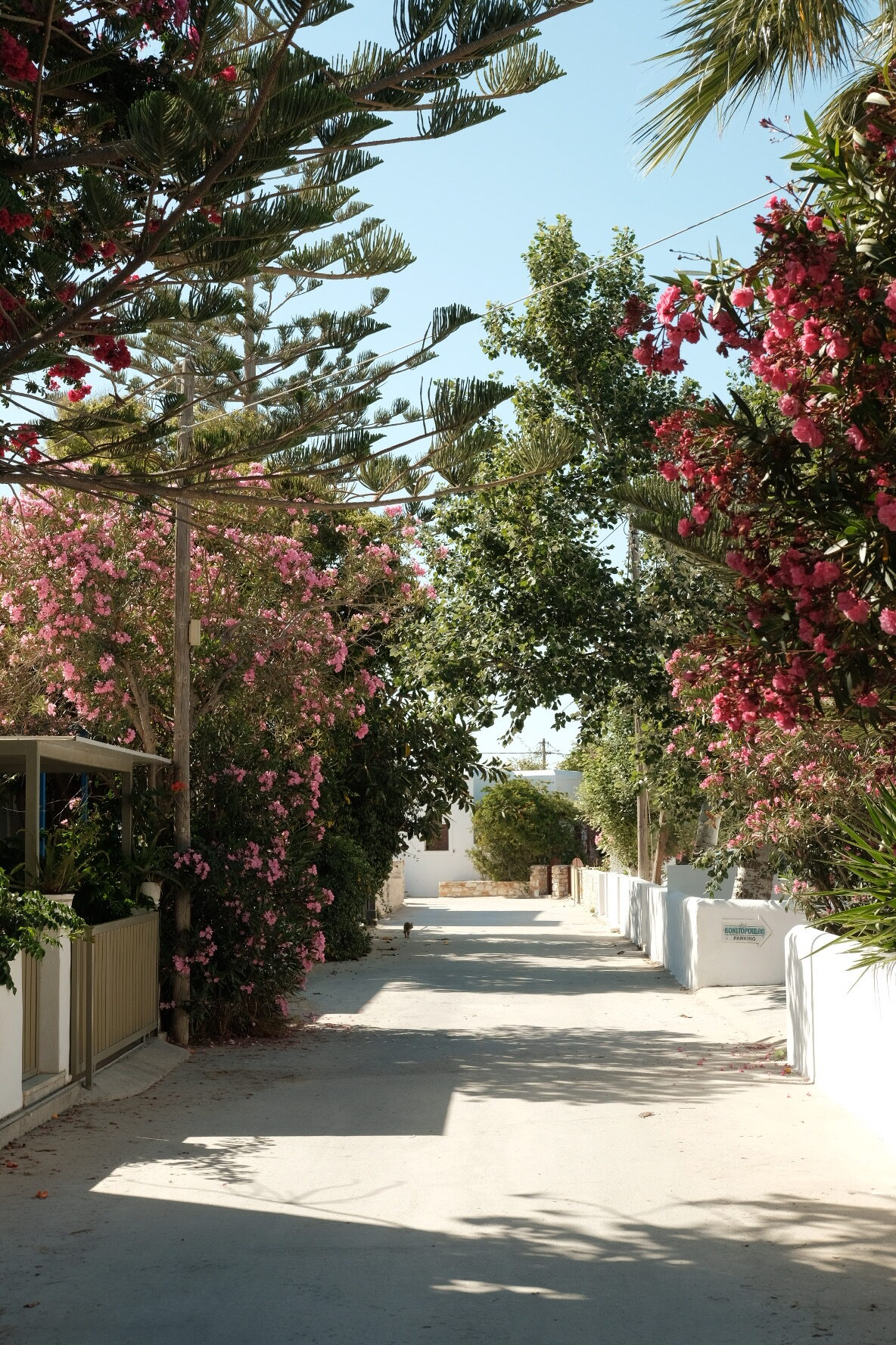 the quiet street leading to mazi